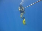 Hawaii Scuba divng 08