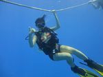 Hawaii Scuba divng 09