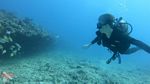 Hawaii scuba 13