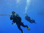 Hawaii Scuba divng 10