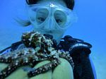 Hawaii Scuba divng 13