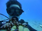 Hawaii Scuba divng 14