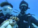 Hawaii Scuba divng 15