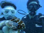 Hawaii Scuba divng 16