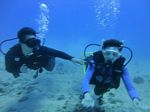 Hawaii Scuba divng 20