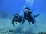 Hawaii Scuba divng 21