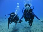 Hawaii Scuba divng 22