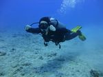 Hawaii Scuba divng 24