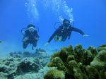 Hawaii Scuba divng 27