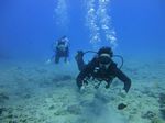 Hawaii Scuba divng 30