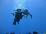 Hawaii Scuba divng 37