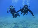 Hawaii Scuba divng 38