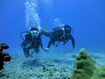 Hawaii Scuba divng 40