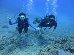 Hawaii Scuba divng 42