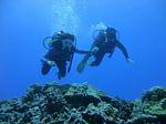 Hawaii Scuba divng 43