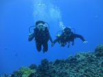 Hawaii Scuba divng 47