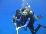 Hawaii Scuba divng 51