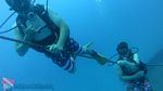 Oahu scuba 28