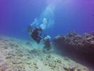 Hawaii Scuba divng 100