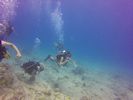 Hawaii Scuba divng 10