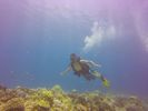 Hawaii Scuba divng 13