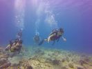 Hawaii Scuba divng 15