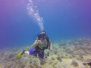 Hawaii Scuba divng 17