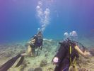 Hawaii Scuba divng 18