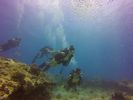 Hawaii Scuba divng 21