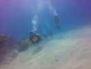 Hawaii Scuba divng 23