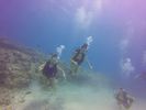 Hawaii Scuba divng 24