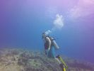 Hawaii Scuba divng 26