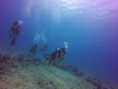 Hawaii Scuba divng 28