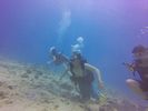 Hawaii Scuba divng 34