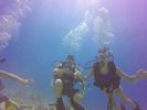 Hawaii Scuba divng 35