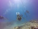 Hawaii Scuba divng 36