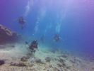 Hawaii Scuba divng 38