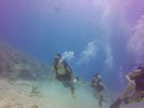 Hawaii Scuba divng 03