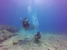 Hawaii Scuba divng 41