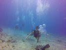 Hawaii Scuba divng 42