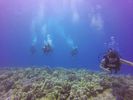 Hawaii Scuba divng 45