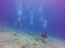 Hawaii Scuba divng 48