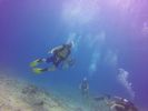 Hawaii Scuba divng 49