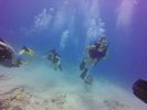 Hawaii Scuba divng 04