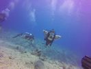 Hawaii Scuba divng 51