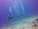 Hawaii Scuba divng 56