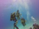 Hawaii Scuba divng 57