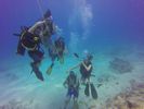 Hawaii Scuba divng 59