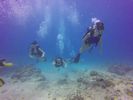 Hawaii Scuba divng 05