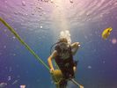 Hawaii Scuba divng 60